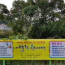 세포마을회관 이미지