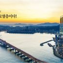 이안테라디움 이미지