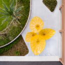 조형물1 이미지