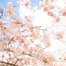 어른 마음 그림책 여행 이미지