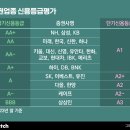 신평사 이미지