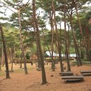 안면도자연휴양림 이미지