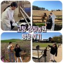 오골계농원 | ⭐고창가볼만한곳 상하농원 방문후기, 동물먹이주기 체험