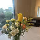 탁트인민박 | 제주 독채 펜션 아이랑 가기 좋은 토끼풀민박 세잎 연박 후기