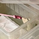 4공단로-33 | 유튜버 다흑 팝업 하남스타필드 위치 반딧불이 팝업 스토어 구경 후기