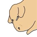 한강아쿠아 롯데마트 연수점 | 1더하기 1은