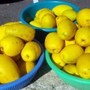 파라다이스펜션 이미지