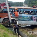 삼동면 전도3 이미지