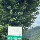 충북 키즈캠핑장)충주 캠핑에 바나나 아이들과 오기 좋은곳!