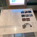 일본방탈출 달밤의변장 in 도쿄돔호텔