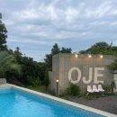 OJE 오늘도제주 이미지