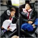 가양금메달태권스쿨 | 2019강서구청장배 태권도대회 ☆종합시범 우승☆ JMT 마곡 정무태권도