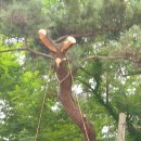 선경2차 아파트경로당 이미지