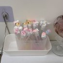 유어래쉬 이미지