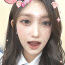 1년..🩷💗 #340번째 편지 이미지