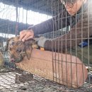 산소농장 이미지