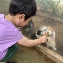 겨리농장 이미지