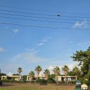 별빛두방울 | 제주 협재해수욕장 근처 가성비 숙소 | 별빛두방울 펜션 실제 이용 후기