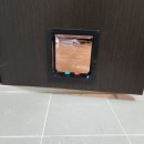 강아지와 고양이(Dog & Cat) 이미지