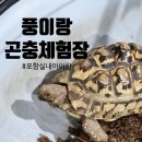 새마을농장 | 포항 실내 아이랑 가볼만한곳 풍이랑 곤충체험장 초등학생 추천