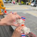 코끼리 동물약국 | [251026] 250704-250708 치앙마이 여행 블로그(#넷째 날 #다섯째 날)