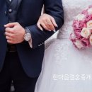 동반자 결혼상담소 이미지
