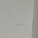 중원한의원 이미지