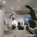 이퀄리티 이미지