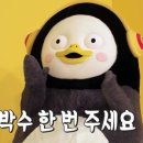 워시몬스터 이미지