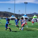 군민체육공원 인조4구장 이미지