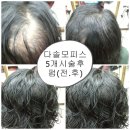 지헤어 - 수성구 달구벌대로496길 19-12 | 지헤어