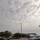 토성 | [청주 소금빵 맛집] 핑크뮬리 활짝 핀 &#34;토성마을&#34; 카페 후기 🪷