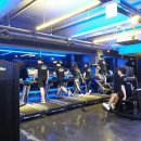 레드스타필드 휘트니스 이미지