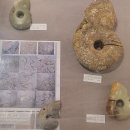 부여(홍산)-02 이미지