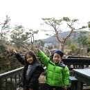 거문오름꿈의숲
