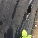 무심농장 이미지