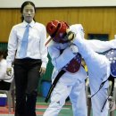 강진태권도체육관 이미지