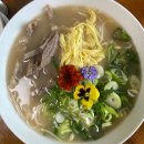즐거운 애견 | [양평 맛집] 눈과 입이 모두 즐거운 '양평 꽃국수' | 애견동반 프라이빗 룸 후기 (내돈내산)