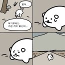 모든 것을 사랑하며 오늘을 나아가