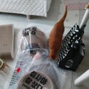 블레스펫 살롱 | 궁디팡팡캣페스타 12회 관람후기 대단했어요