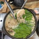 86 | 영주 백숙 맛집 먹골집 들깨 닭백숙 몸보신하고 스벅 빙수까지 완벽한 하루