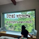브런치앤숲 | [안성] 안성 산뷰 카페 추천 브런치앤숲 재방문 후기