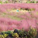 서광리-12 이미지