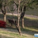 2017 새봄맞이 음악회 이미지