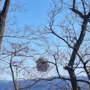 팔성사 - 1243 | 팔성사