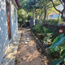 대포동주민센터 | 제주 중문해수욕장 근처 제주 일주일살기 숙소 구하는 법