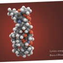 소리약국 이미지