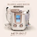 보드레스킨 네이버블로그