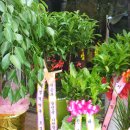 새명약국 이미지