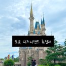 주식회사 에이스타게임즈 | 도쿄 디즈니랜드 꿀팁 입장권, 퍼레이드시간, priority pass, DPA 총정리